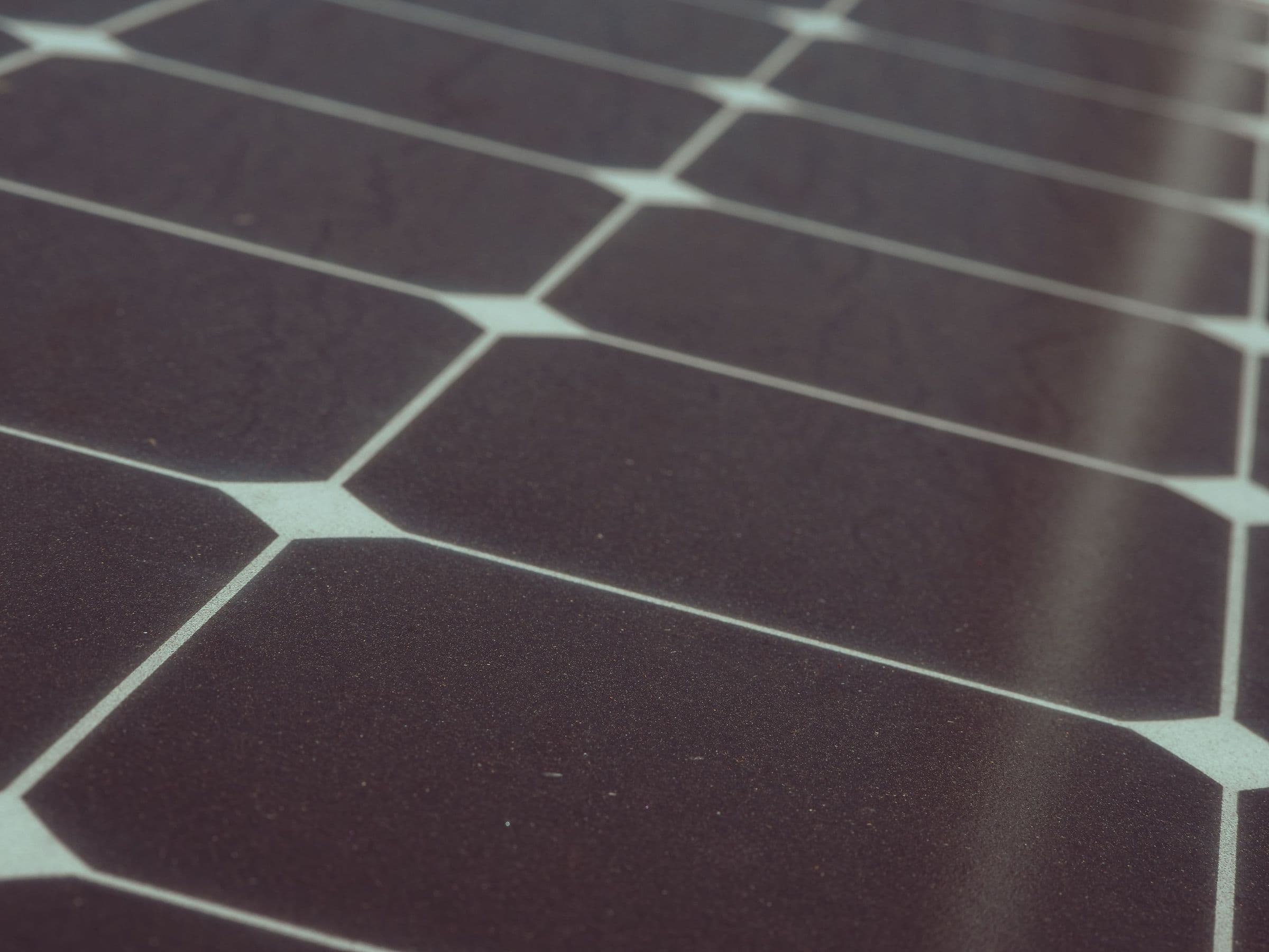 Close-up of monocrystalline solar cells and busbars